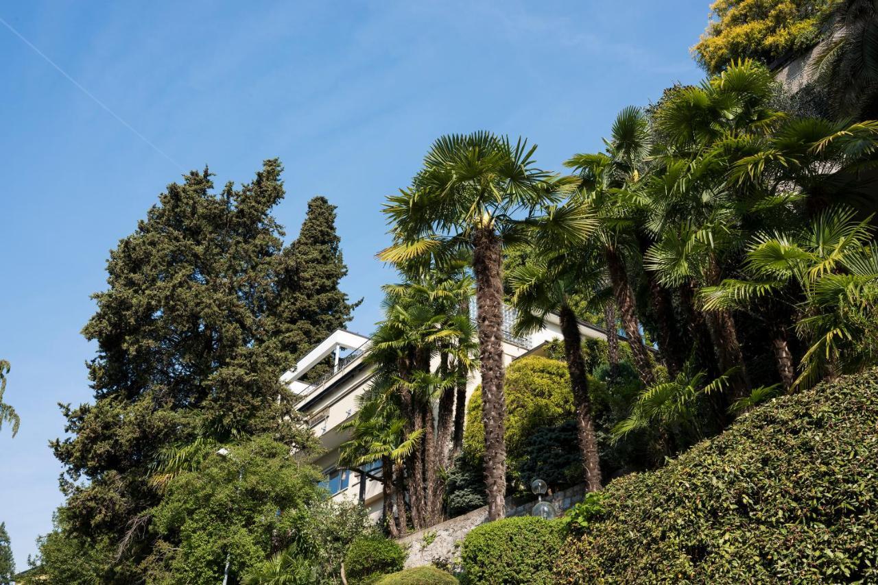 Violetta - Bellavista Appartement